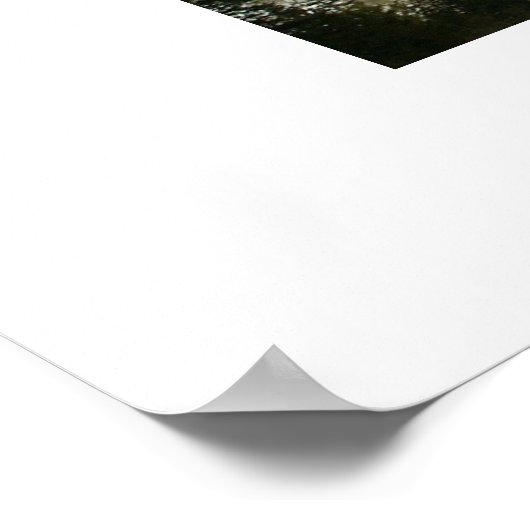 gemeente colorado poster (Hoek)