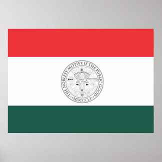 Gemeente San Diego Poster