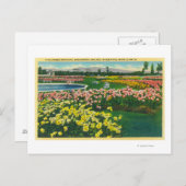 Gemeentelijke Roos tuin in Santa Clara County Briefkaart (Voorkant / Achterkant)