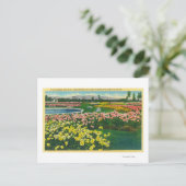 Gemeentelijke Roos tuin in Santa Clara County Briefkaart (Staand voorkant)