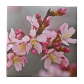 Gemeentte roze Japanse Cherry Blossom Tile Tegeltje (Voorkant)