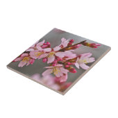 Gemeentte roze Japanse Cherry Blossom Tile Tegeltje (Zijkant)