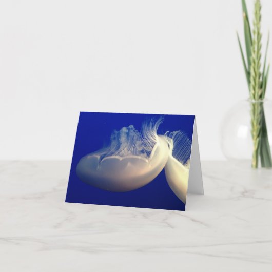 Gemelde briefkaart (Voorkant)