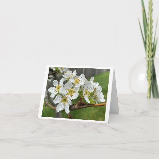 Gemelde briefkaart (Voorkant)