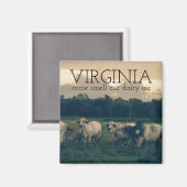 Gemenebest Virginia | Ruwe onze zuivellucht Magneet (Voorkant / Achterkant)