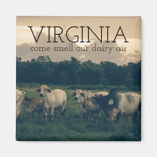 Gemenebest Virginia | Ruwe onze zuivellucht Magneet (Voorkant)