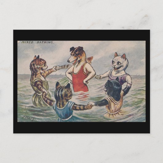 Gemengd Baden - Hond en Katten Ansichtkaart Briefkaart (Voorkant)