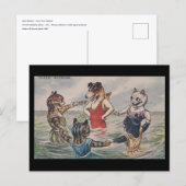 Gemengd Baden - Hond en Katten Ansichtkaart Briefkaart (Voorkant / Achterkant)