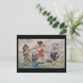 Gemengd Baden - Hond en Katten Ansichtkaart Briefkaart (Staand voorkant)
