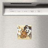 Gemengd bedrijf - Bunny Magnet (Insitu (Vaatwasser))
