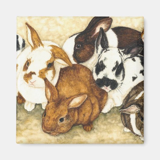 Gemengd bedrijf - Bunny Magnet (Voorkant)