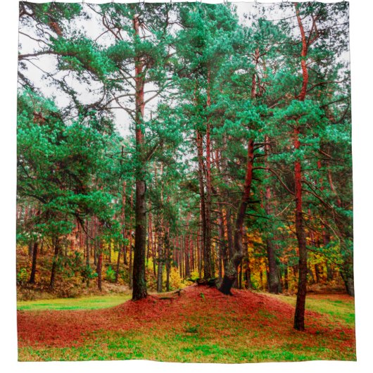 gemengd bos in het najaar douchegordijn (Voorkant)