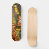 Gemengd vruchtensap skateboard (Voorkant)