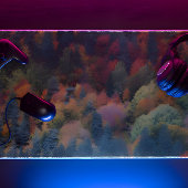 gemengde bosbomen bureaumat