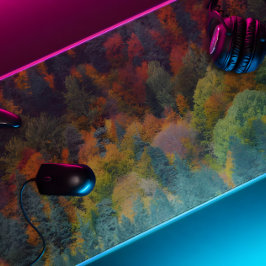 gemengde bosbomen bureaumat