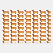 Gemengde Dachshund Wrapping Papier Blad Sets Inpakpapier Vel (Voorkant 3)