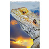 Gemengde dieren en vogels Kalender (Hoes)