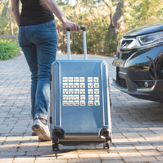 Gemengde extract smaken Set 1 Sticker (Koffer Insitu)