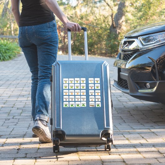 Gemengde extract smaken Set 2 Sticker (Koffer Insitu)