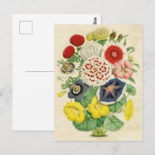 Gemengde  florale briefkaart (Voorkant / Achterkant)