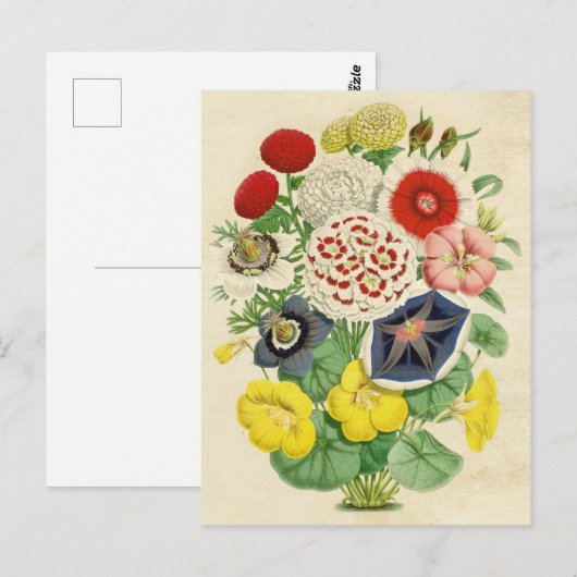Gemengde  florale briefkaart (Voorkant / Achterkant)