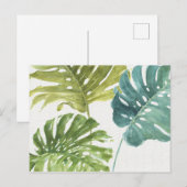 Gemengde groenen | Tropische palmen Briefkaart (Voorkant / Achterkant)