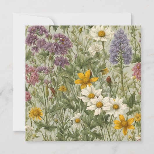  gemengde kleur bloeiende wilde bloemen (Voorkant)