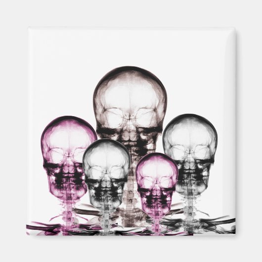 Gemengde kleuren X-Ray Vision Skeletons Skulls Magneet (Voorkant)