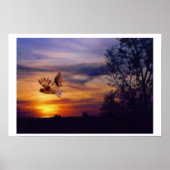 Gemengde Media Art Sunset Owl Poster (Voorkant)