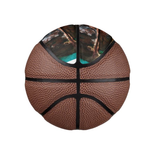 gemengde metaalrace om taart basketbal (Rechts)