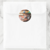 gemengde metaalrace om taart ronde sticker (Tas)