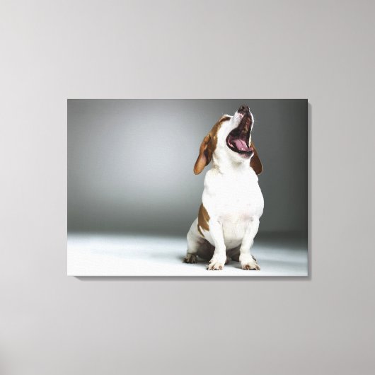 Gemengde rashond, close-up canvas afdruk (Voorkant)