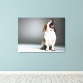 Gemengde rashond, close-up canvas afdruk (Insitu (Houten vloer))