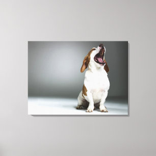 Gemengde rashond, close-up canvas afdruk