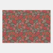 Gemengde  Steampunk Old Lock Key Red Poppy Inpakpapier Vel (Voorkant 3)