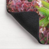 Gemengde succulente mousepad muismat (Hoek)
