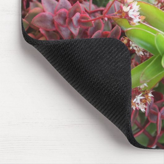 Gemengde succulente mousepad muismat (Hoek)