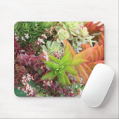 Gemengde succulente mousepad muismat (Met muis)