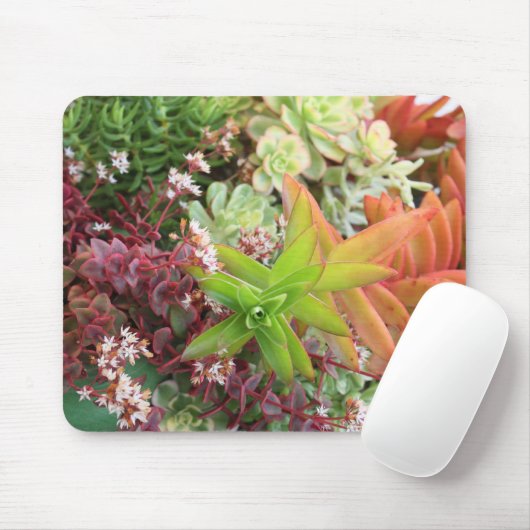 Gemengde succulente mousepad muismat (Met muis)