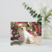 Gemengde Terrier Breed Rescue Doggie Briefkaart (Staand voorkant)