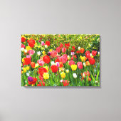 Gemengde tulpen floraal canvas afdruk (Voorkant)