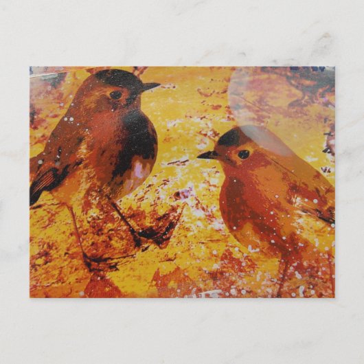 Gemengde vogels briefkaart (Voorkant)