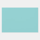 Gemengde wikkelbladen Roze - Blauw - Turquoise Inpakpapier Vel (Voorkant)