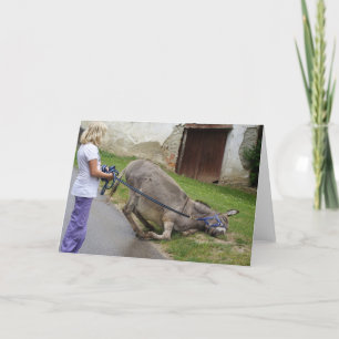 Gemeraxeerde Donkey Kaart