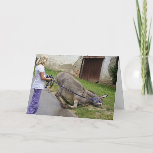 Gemeraxeerde Donkey Kaart (Voorkant)