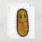 Gemiddeld Bacteria Cartoon Character Briefkaart (Voorkant / Achterkant)