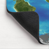 Gemiddelde groei van het plant van de aarde muismat (Hoek)