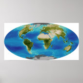 Gemiddelde groei van het plant van de aarde poster (Voorkant)