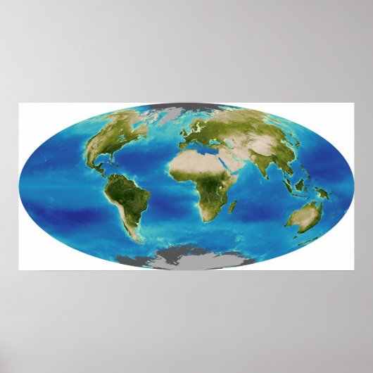 Gemiddelde groei van het plant van de aarde poster (Voorkant)