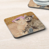 Gemiddelde katten 6 Onderzetters set (Linkerzijde)